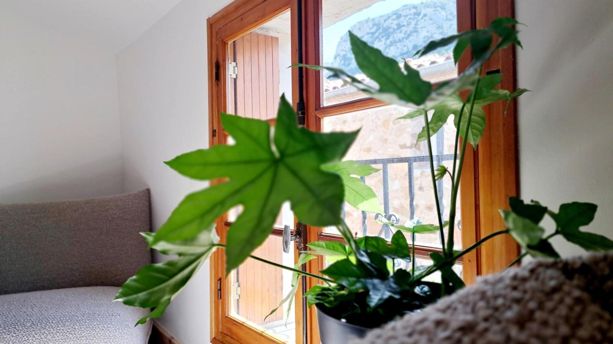 فندق Casa Tramuntana Tautavel المظهر الخارجي الصورة